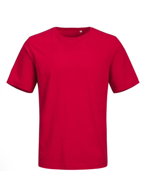 Organic T-Shirt Large Red 