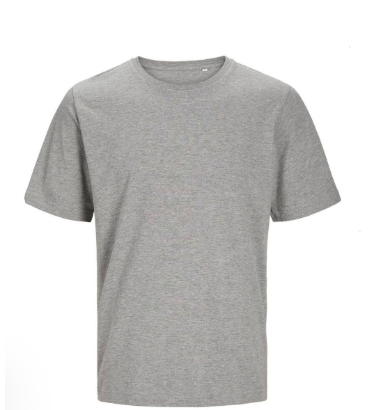 Organic T-Shirt XLarge Grey